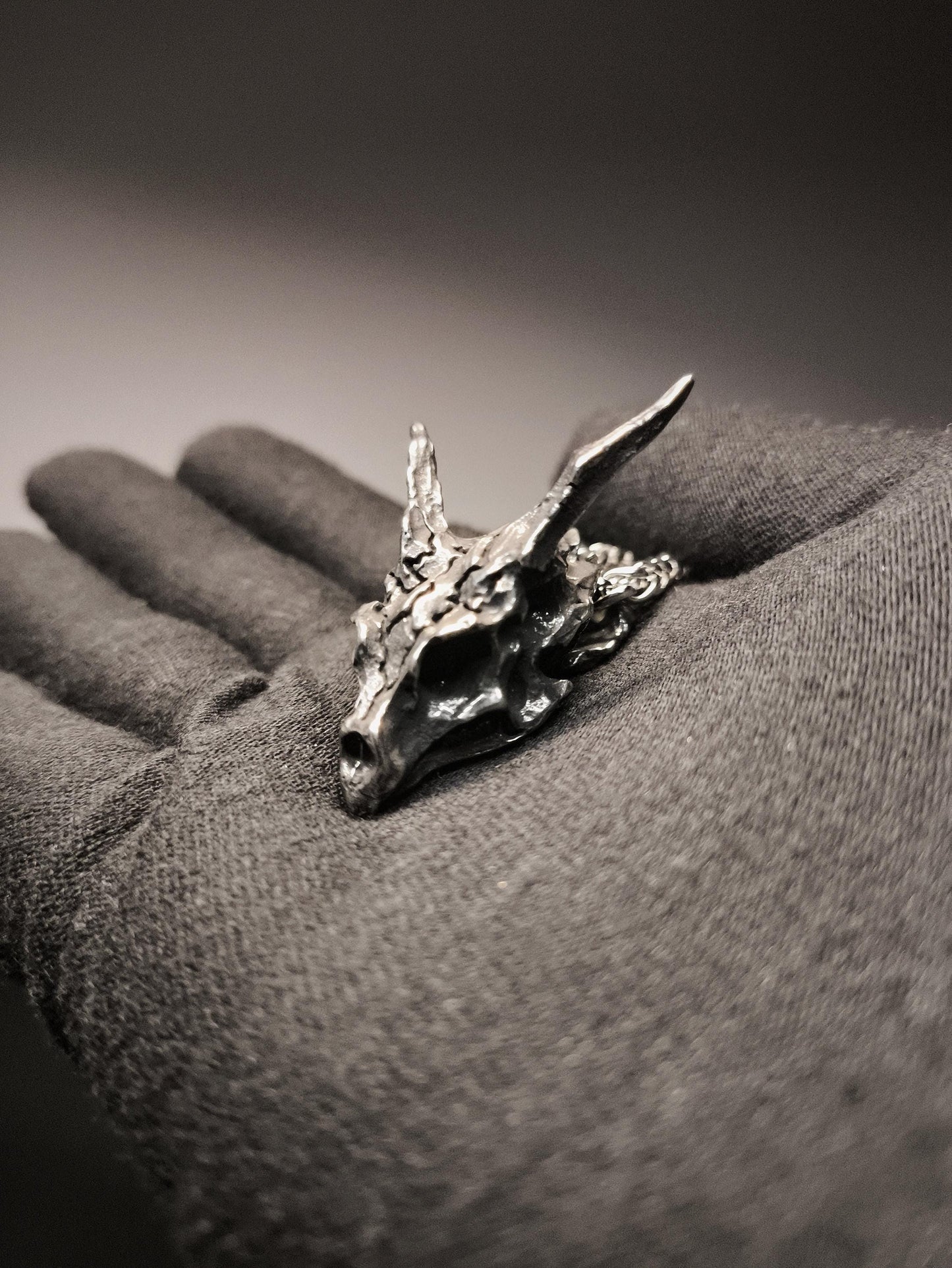 Blightfire – Detailed Dragon Skull Pendant and Chain Necklace in Stainless Steel