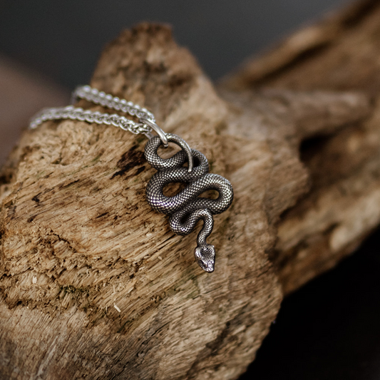 Serpent Vinculum – Dark Silver Coiled Snake Pendant and Chain Necklace