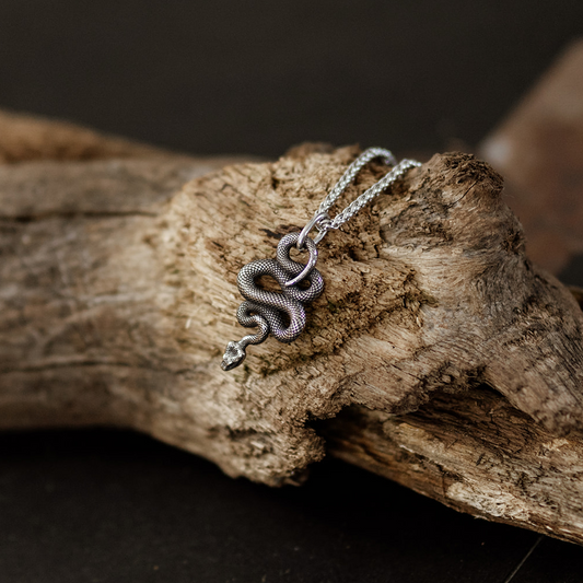 Serpent Vinculum – Dark Silver Coiled Snake Pendant and Chain Necklace