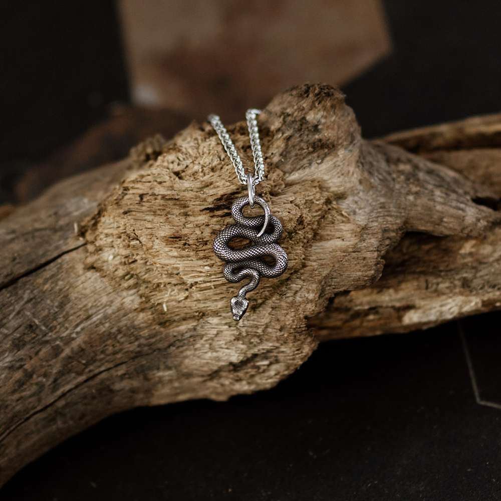 Serpent Vinculum – Dark Silver Coiled Snake Pendant and Chain Necklace