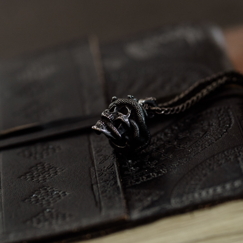 Venomshroud – Detailed Silver Snake and Skull Pendant and Chain Necklace in Stainless Steel