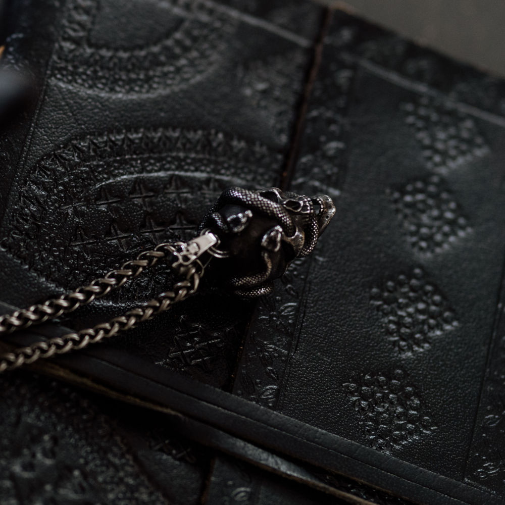 Venomshroud – Detailed Silver Snake and Skull Pendant and Chain Necklace in Stainless Steel