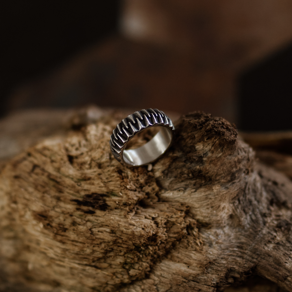 Dragon Teeth Statement Ring in Darkened Silver and Stainless Steel