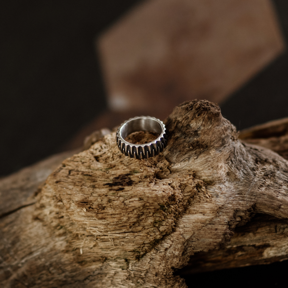 Dragon Teeth Statement Ring in Darkened Silver and Stainless Steel