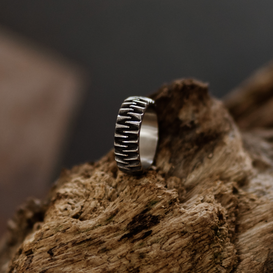 Dragon Teeth Statement Ring in Darkened Silver and Stainless Steel